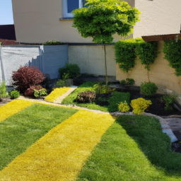 Abattage : enlevez les arbres dangereux ou indésirables de votre jardin en toute sécurité Brie-Comte-Robert